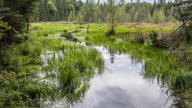 Stablex : l’administration Poulin lance une campagne d’échantillonnages