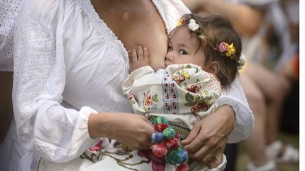 Bisphénol et pesticides sont détectés dans le lait maternel