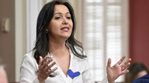 QS propose la création d'un service de première ligne dédié à la cyberviolence