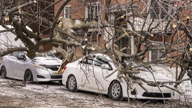 Hydro-Québec continue de réparer les pannes causées par les vents violents