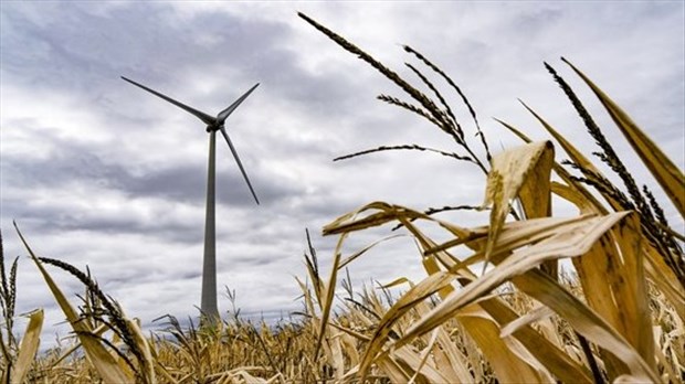Des agriculteurs demandent à Hydro-Québec de suspendre son appel d'offres éolien