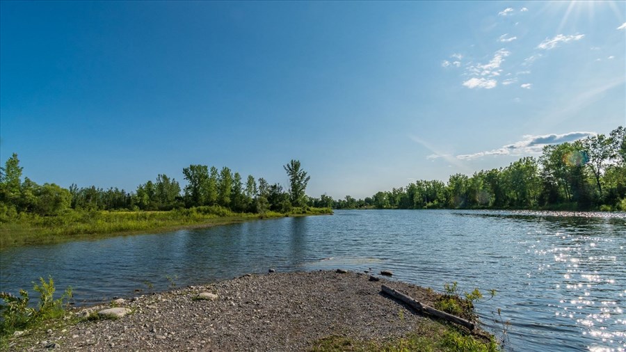 Une hypothèse retenue pour la mortalité de poissons au lac Fauvel