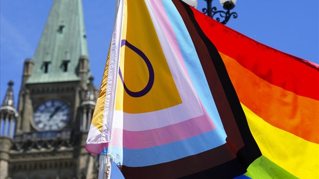 La nouvelle loi sur l'immigration met en danger la vie de certaines personnes LGBTQ+